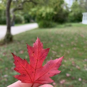 Meet your Posher, Lily